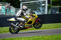 cadwell-no-limits-trackday;cadwell-park;cadwell-park-photographs;cadwell-trackday-photographs;enduro-digital-images;event-digital-images;eventdigitalimages;no-limits-trackdays;peter-wileman-photography;racing-digital-images;trackday-digital-images;trackday-photos